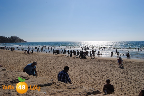 yaffa people 811 (43).JPG